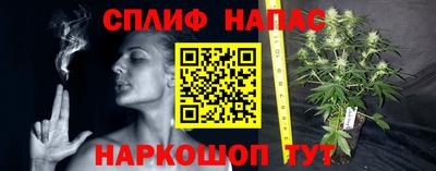 прущие грибы Бугуруслан