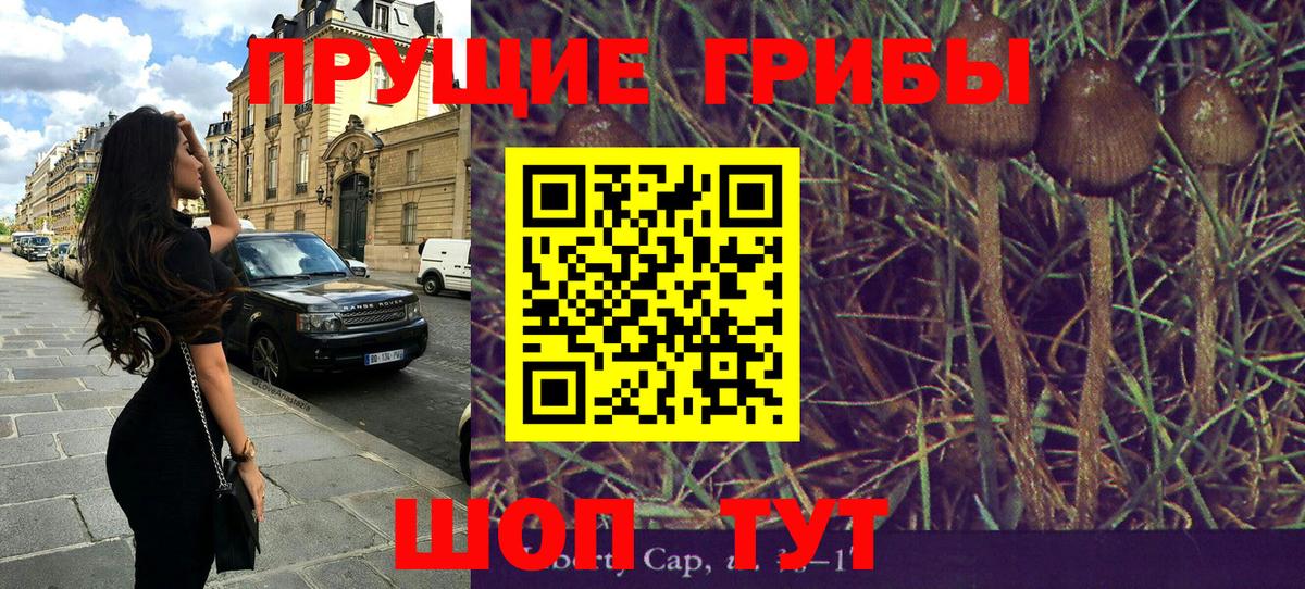 Лыткарино  Псилоцибиновые грибы Psilocybe  Вход с VPN 